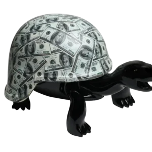 Turtle Black