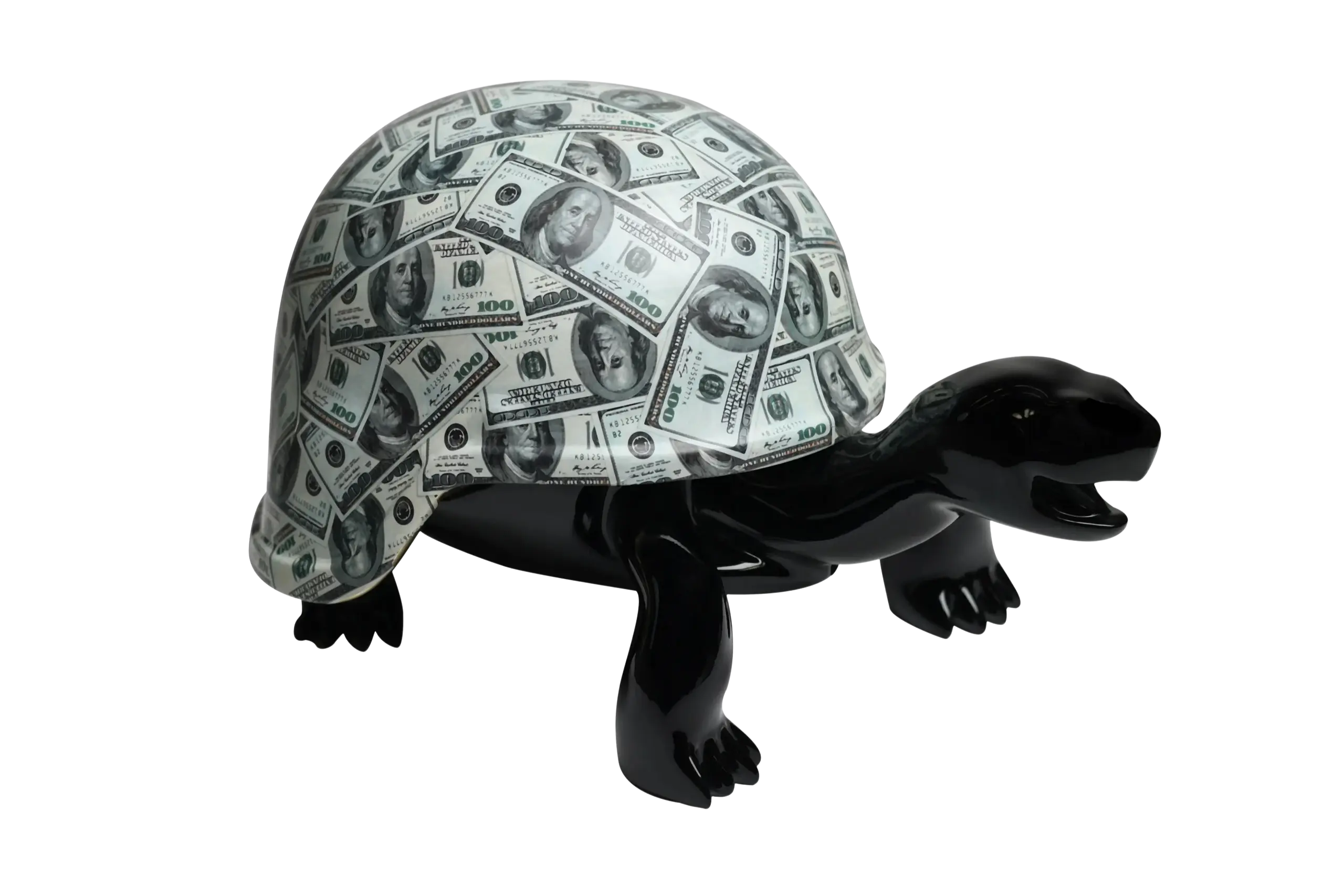 Turtle Black